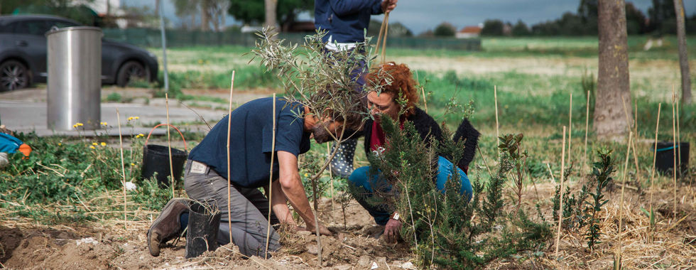 volunteers plant Miyawaki Forest In Alentejo, Portugal