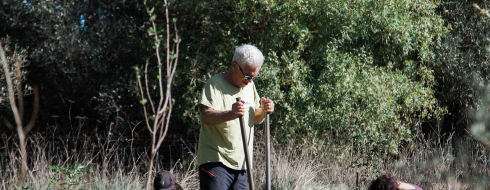 Volunteers plant Miyawaki forest