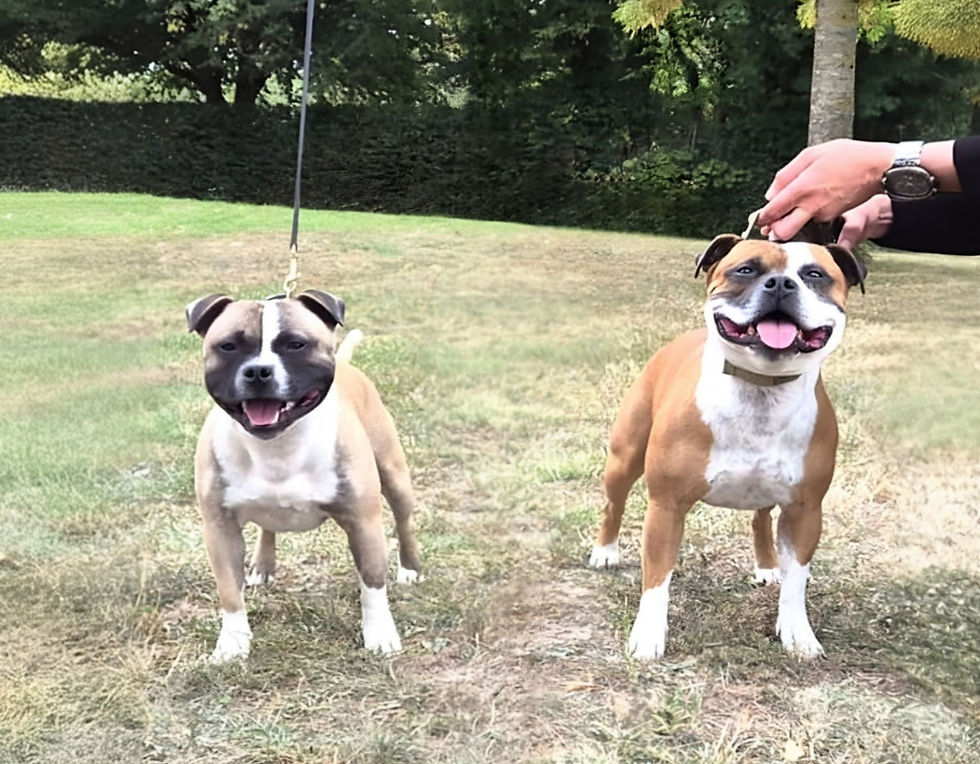 Vic et son grand pĂšre Arlo Colombes Niatona