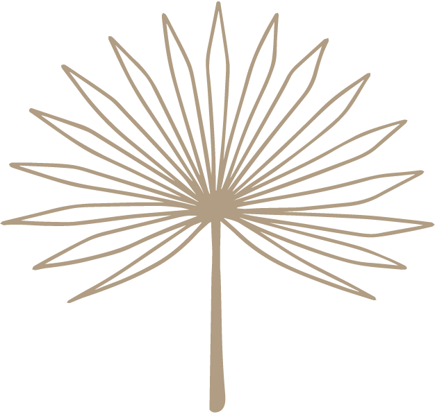 Illustration Small-25.png