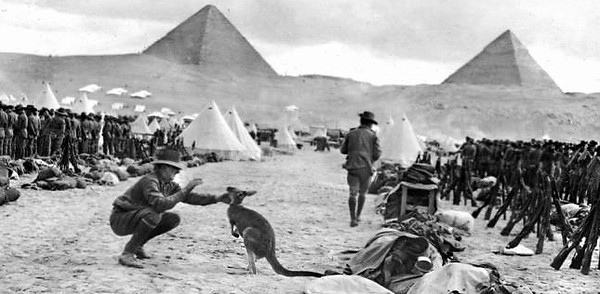 anzac and kangaroo.jpg