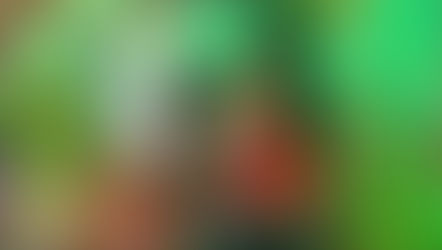 MISS PRETTY BIRTHDAY CELEBRATION BROUGHT TO YOU BY COOLIEEBIRD - YSBH PREMIERE