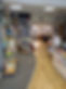 IMG_3730-225x300.jpg