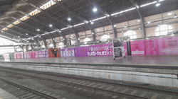 IMG-20231127-WA0021