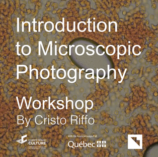 Introduction to Microscopic Photography