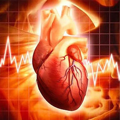 corazon-humano-impreso-en-3d.jpg