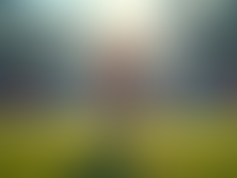 Unlocking Sponsorships: How Roar Sports Group Helps Athletes