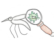 biology AQA logo.PNG
