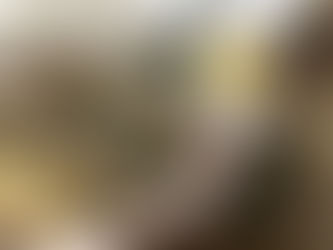 A halak szuperereje: Miért jó a rendszeres halfogyasztás?