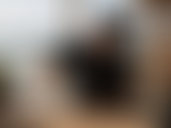 Festival del Mezcal Guerrerense 2026