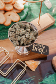420 Styled Shoot with a Hemp Bar by Hemp House at Moser Manor Farms in Chattanooga, TN photographed by Ivey Photo