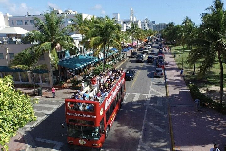 Open-top double-decker tour bus traveling through a palm-lined street in Miami Beach with buildings and pedestrians nearby