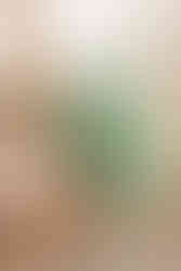 420 Styled Shoot with a Hemp Bar by Hemp House at Moser Manor Farms in Chattanooga, TN photographed by Ivey Photo