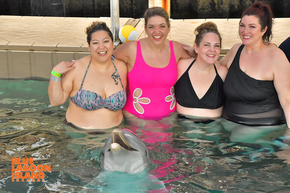 Our crew and our new dolphin BFF