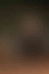 420 Styled Shoot with a Hemp Bar by Hemp House at Moser Manor Farms in Chattanooga, TN photographed by Ivey Photo