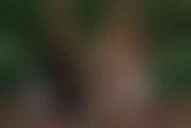 420 Styled Shoot with a Hemp Bar by Hemp House at Moser Manor Farms in Chattanooga, TN photographed by Ivey Photo