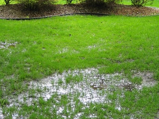 How-To-Get-Rid-of-Standing-Water-in-Your-Yard--1200x900.jpg