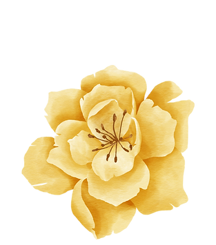 Photoroom_20250405_181445.PNG