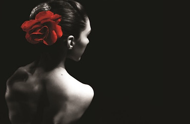 19 02 2013 flamenco euro fest lim .jpg