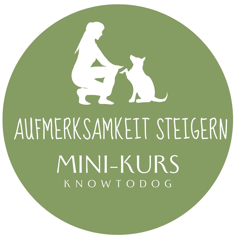 Logo des Onlinekurses: Eine Frau kniet vor einem sitzenden Hund, symbolisiert die Verbindung und Aufmerksamkeit zwischen Mensch und Tier. Der Kurs zielt darauf ab, die Aufmerksamkeit und das Training von Hunden zu verbessern