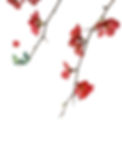 Serenepsych-Psychologist-Hamilton-New-Zealand-Therapy-about-us-Depression-Anxiety-parenting-counselling