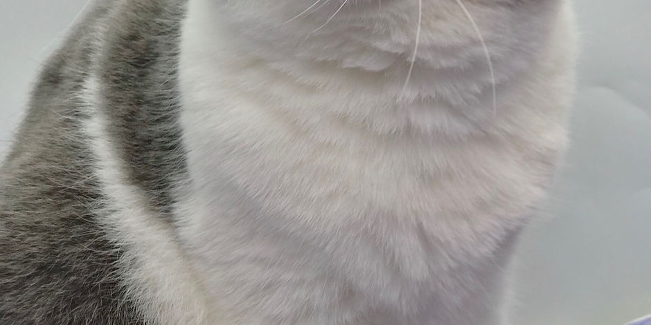 6D2443B1-6E8C-4722-A76D-D26B79796579.jpeg
