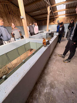 Photo-immersion-enfants-ado-detox-numerique-avril-2026111