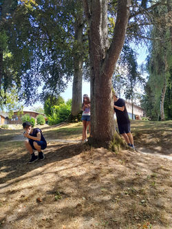 Photo-immersion-anglais-detox-numerique-19-24-juillet-2026-126