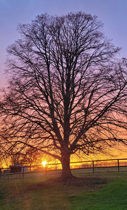 Photo-immersion-adultes-anglais-detox-numerique-janvier-202650