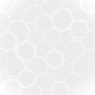 Honeycomb geometric lines_edited_edited_edited_edited_edited.png