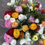 Thumbnail: Ranunculus bunches 