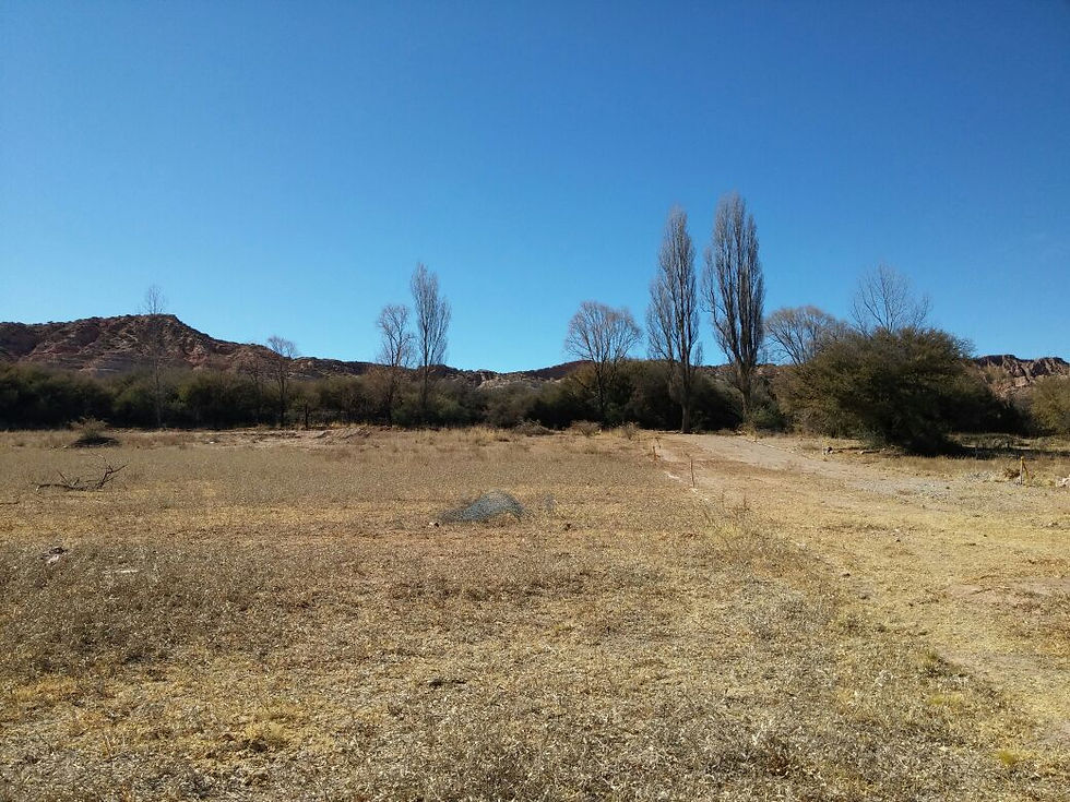 Vista al Loteo