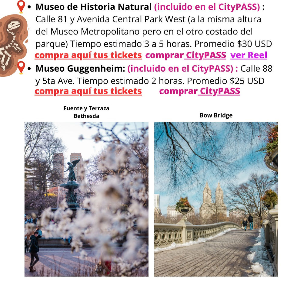 Thumbnail: Guía Interactiva NUEVA YORK