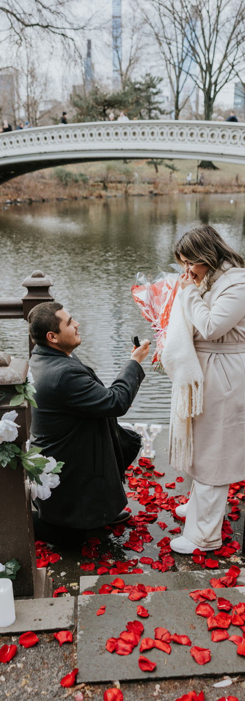 Fotógrafo de pedida de mano en Nueva York