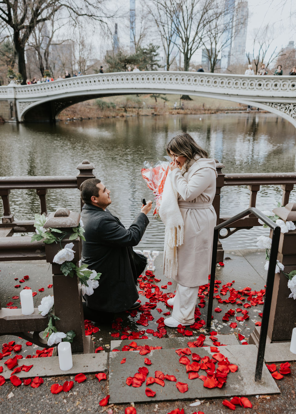 Fotógrafo propuesta de matrimonio en Nueva York
