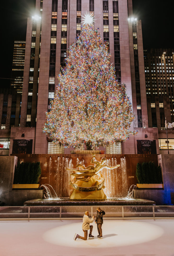 Fotógrafo propuesta de matrimonio en Nueva York