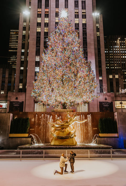 Fotógrafo de pedida de mano en Nueva York