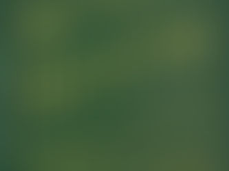 Chic Paris guide through the artist’s eyes – “Forever Paris: A Guide to the Timeless Soul of the City” by Marin Montagut