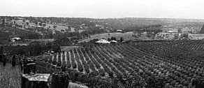 Orchards and Market Gardens