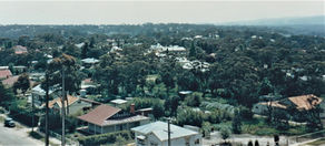 Waite Street Reserve
