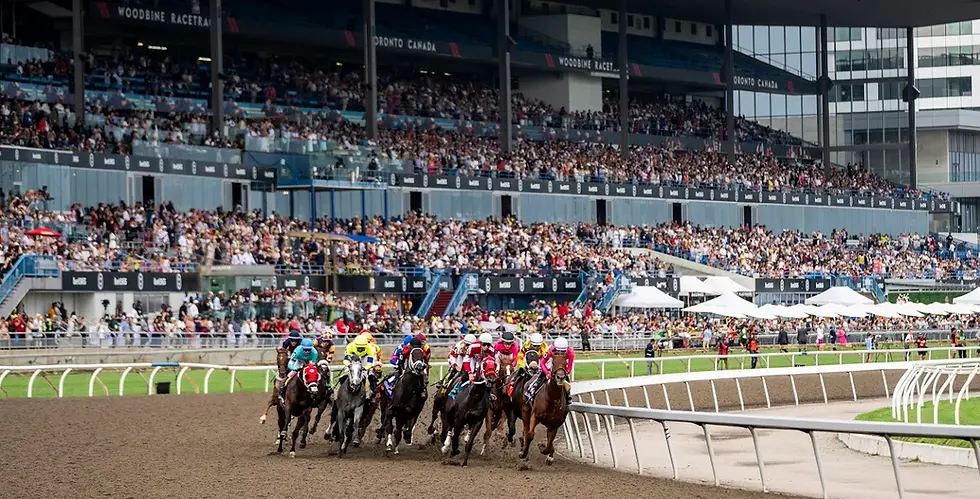 Woodbine Grandstands 2