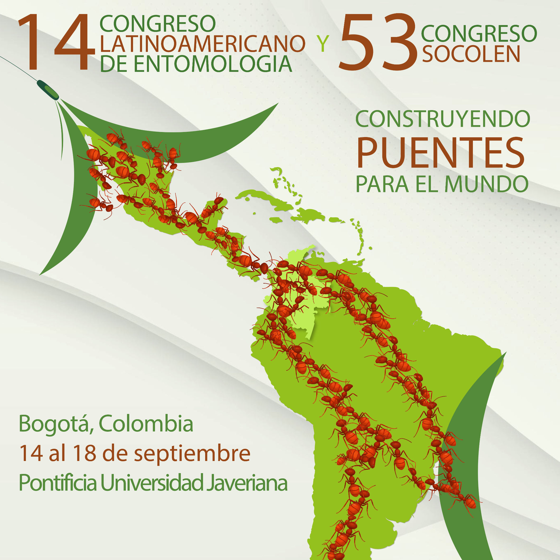 Pago Inscripción XIV CLE - Socolen 53 Profesional Socio