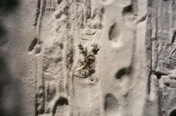 image0-2