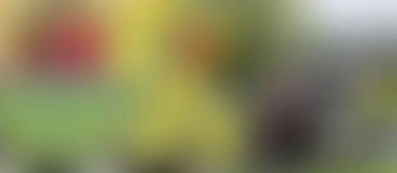 Collision entre deux véhicules à East Broughton