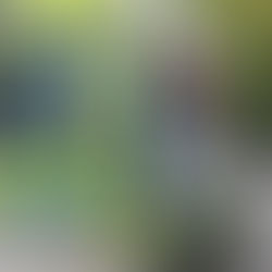 Collision impliquant deux véhicules sur le boulevard Lacroix à Saint-Georges