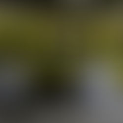 Suppression des services de paramédics la nuit dans la région d'East Broughton : Une vie en danger