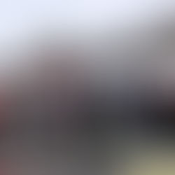 Des policiers se jettent à l’eau pour la bonne cause