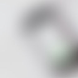 Composer le 911 ou le 4141 ?