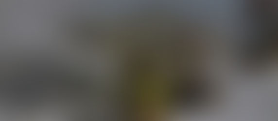 La ville de Saint-Georges recrute des pompiers(ères)