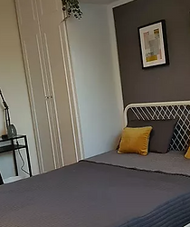 Screenshot 2021-02-17 163111.png